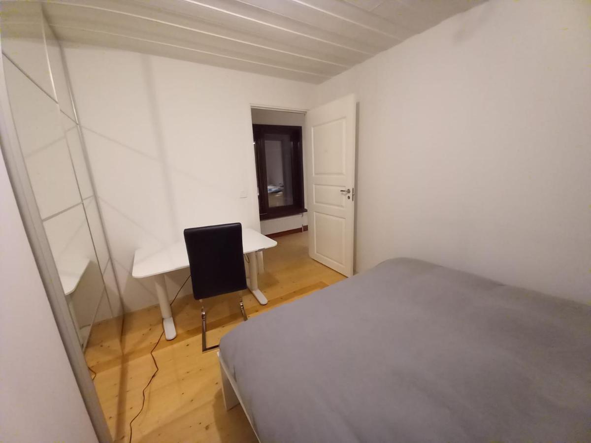 Séjour chez l'habitant Private With No Windows In Shared House-5